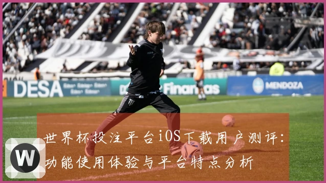 世界杯投注平台iOS下载用户测评：功能使用体验与平台特点分析