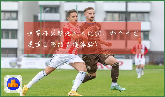 世界杯买球地址大比拼：哪个平台更适合您的直播体验？