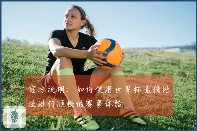 官方说明：如何使用世界杯竞猜地址进行顺畅的赛事体验