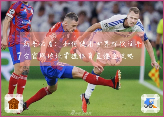 新手必看：如何使用世界杯投注平台官网地址掌握体育直播全攻略